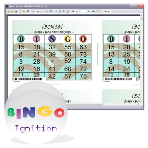 Bingo Ignition 3, Screenshot 2